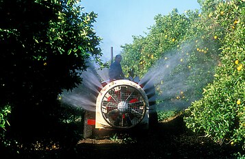 Spraying oranges in an orchard in Australia
