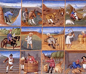 Pictures depicting agricultural activities, such as sowing, harvesting, and wine making