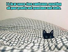 "I iz in ur space-time continuum, upsetting all your gravity and quantums and stuffs."