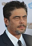 Benicio Del Toro Actor known for his roles in Traffic, 21 Grams, Sicario, and the Marvel Cinematic Universe (did not graduate)