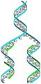 Image 85The replicator in virtually all known life is deoxyribonucleic acid. DNA is far more complex than the original replicator and its replication systems are highly elaborate. (from History of Earth)