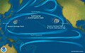Image 10Pacific Ocean currents have created three islands of debris. (from Pacific Ocean)