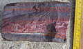 Image 87A banded iron formation from the 3.15 Ga Moodies Group, Barberton Greenstone Belt, South Africa. Red layers represent the times when oxygen was available; gray layers were formed in anoxic circumstances. (from History of Earth)