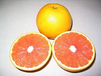 Cara cara navel orange