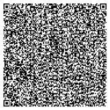 Version 25 (117×117) Content: 1,269 characters of ASCII text describing QR codes