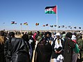 Commemoration of the 30th independence day in Tifariti, Liberated Territories, Western Sahara