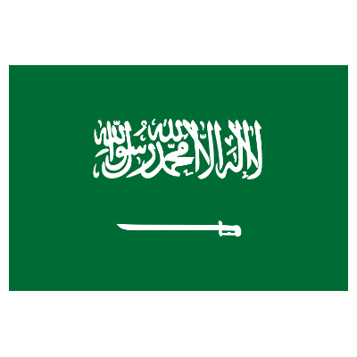 Kingdom of Saudi Arabia logo