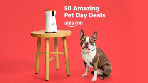 An image of a pet treat dispenser on top of stool and a brown and white dog with text that reads 50 Amazing Pet Day Deals.