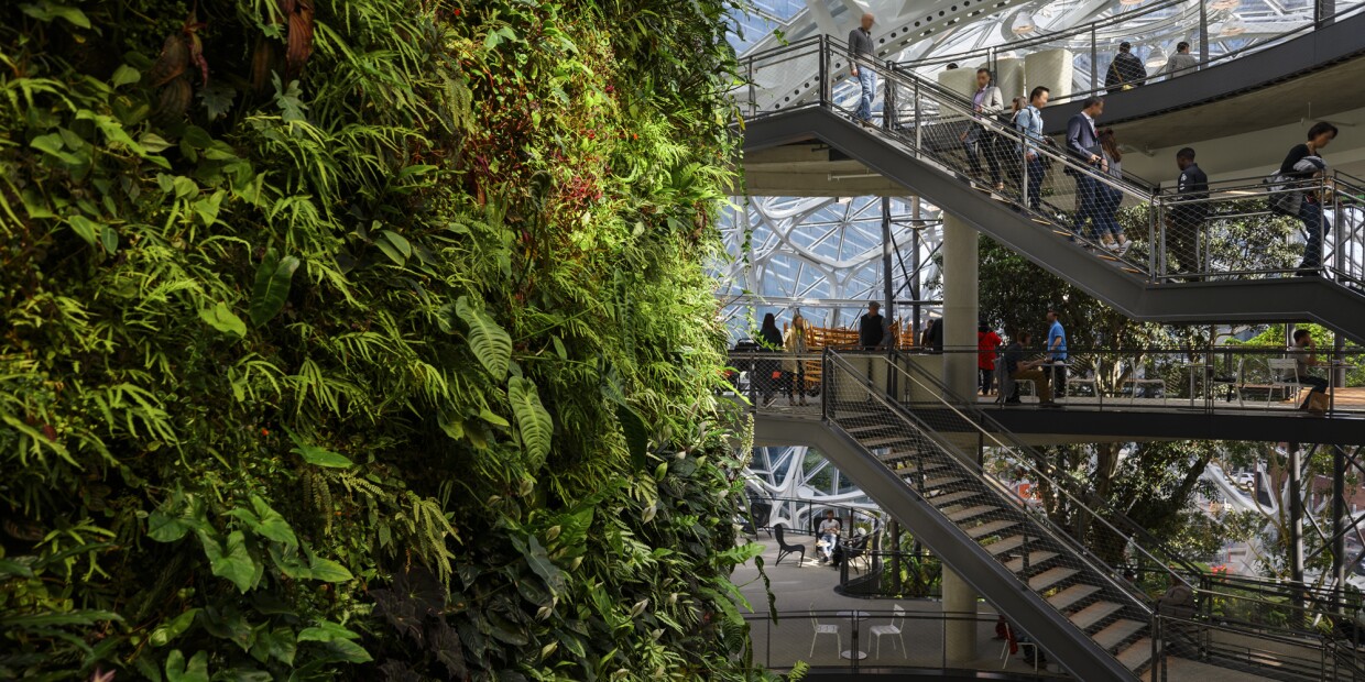 Inside the Amazon Spheres looking at a green wall and a staircase with people on it