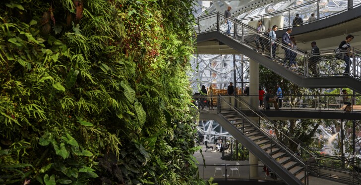 Green wall in Amazon spheres, people on stairs on right.