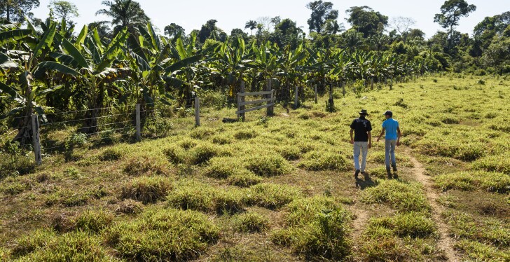 Two people walk near a path in a field next to a tropical forest