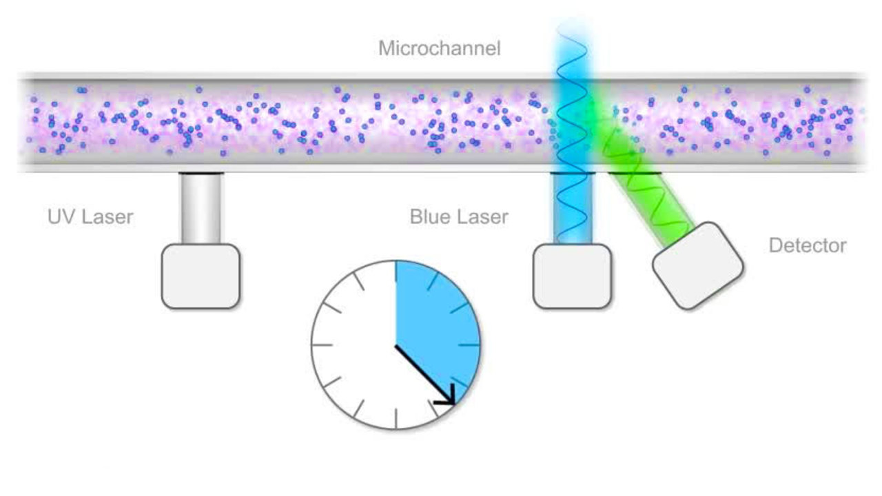 Measuring Flow Rate with Fluorescence