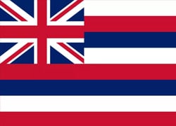 Hawaii State Flag - Casino Genie