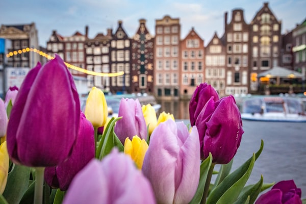 Spring in Amsterdam