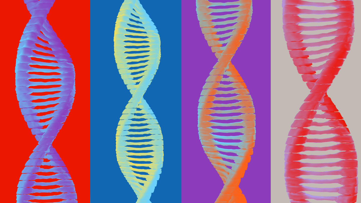 Four 3D DNA structures illustration