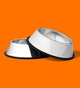 Amazon Basics Stainless Steel Dog Bowl