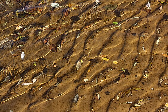 Волны на песчаном дне