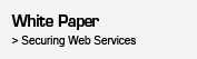 White Paper Securing Web Services