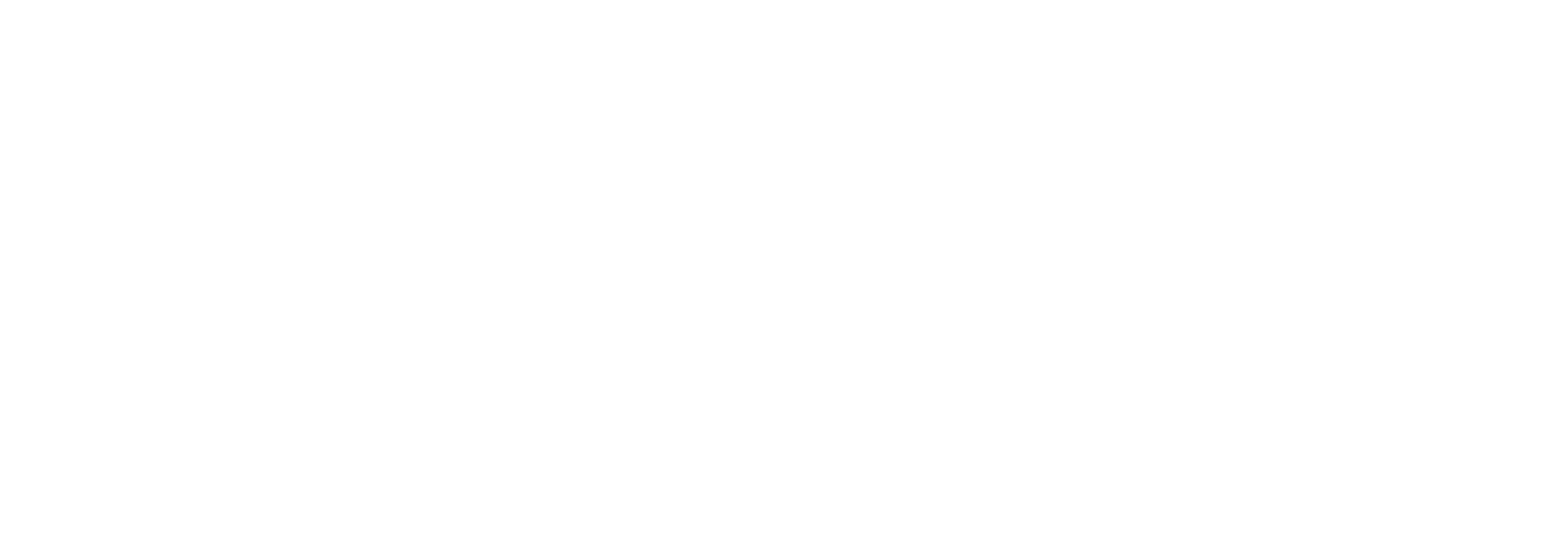 Digital Innovation Partner