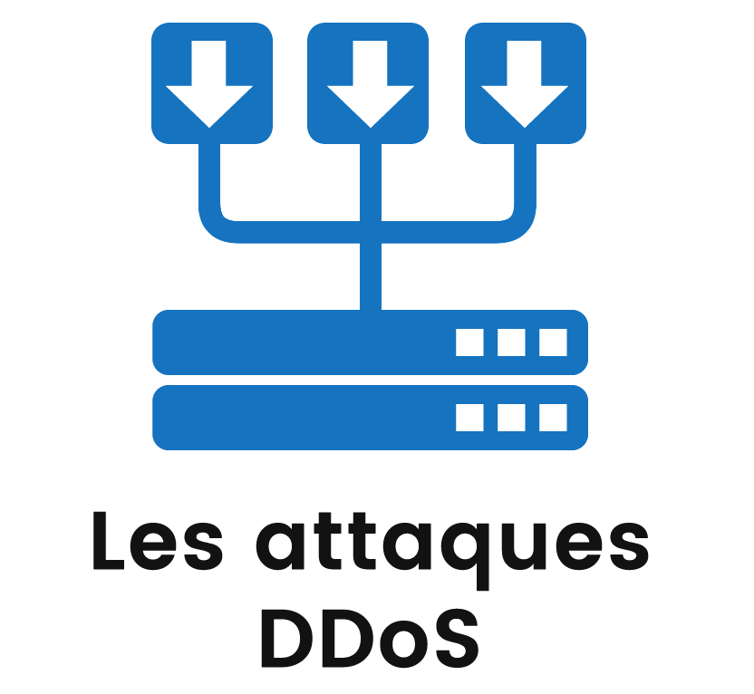 Les attaques DDoS
