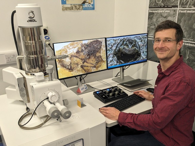 Daniel Falk seated in front of a computer showing images of the frog fossils.